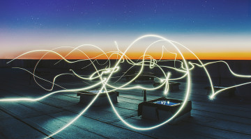 Federico Beccari. Unsplash